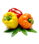 products/product_03_03-13-1_08914981-a0ca-46da-831e-ae8a9e32808a.jpg