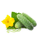 products/product_03_03-14-1_7affe92c-77d1-41d4-ab52-c5d1159492c4.jpg