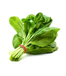products/product_03_03-6-1-1_272a2e47-6b70-4ec4-8313-ca06ac9a688f.jpg