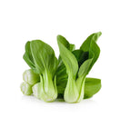 products/product_03_03-9-1-1_f4eeab80-720a-49ad-b9d8-40ff30b131a5.jpg