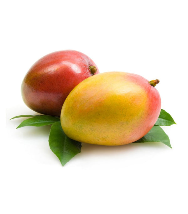 Apricot Leaves