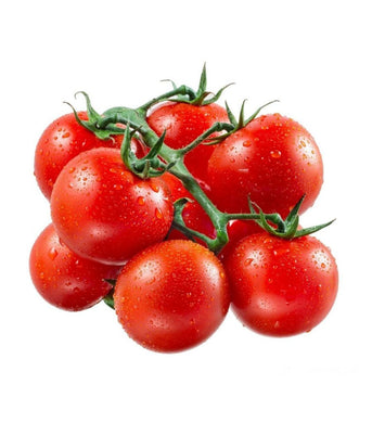 Tomato